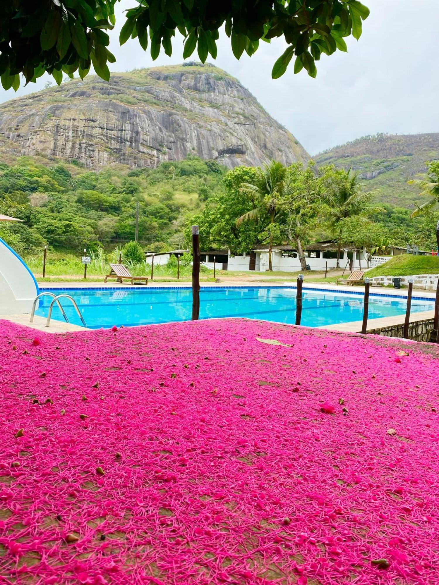 Apartment Flat 218 Pedra Do Rodeadouro *