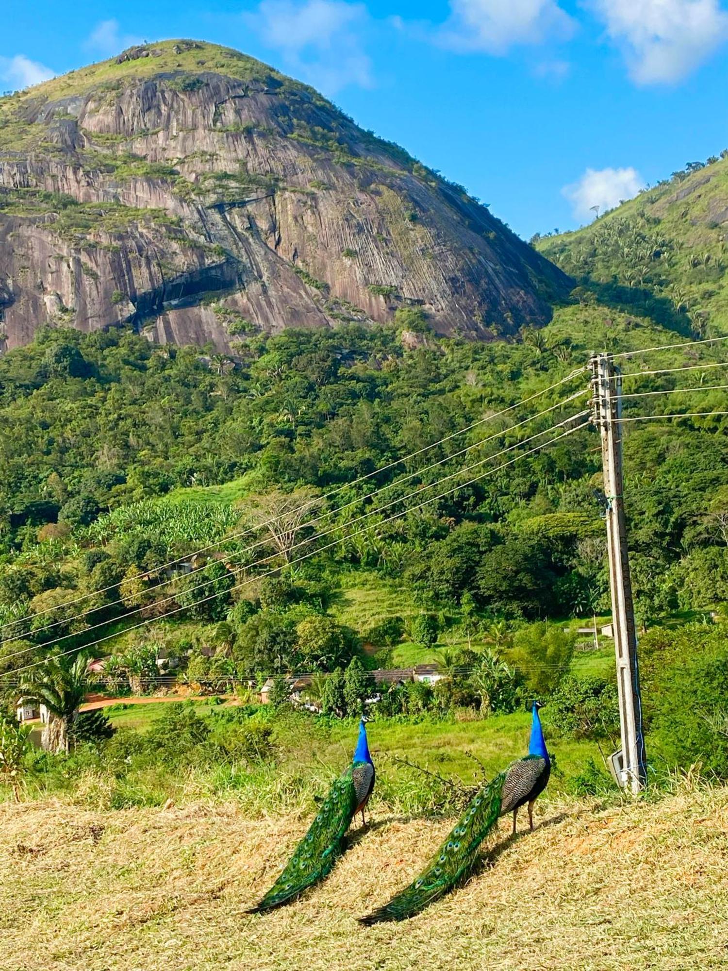 Flat 218 Pedra Do Rodeadouro Bonito (Pernambuco)